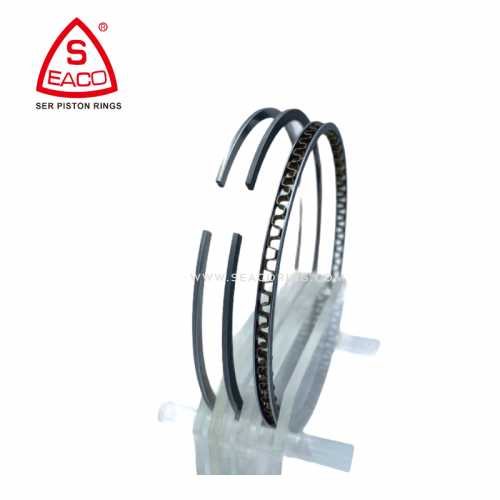 Piston Ring For Nissan